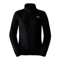 The North Face 100 Glacier Full-Zip Fleece