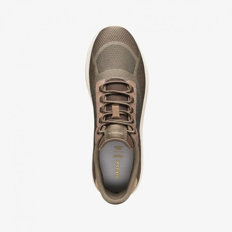 Geox Spherica Plus Dark Brown