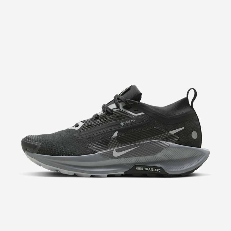 Nike Wmns Pegasus Trail 5 Gore-Tex