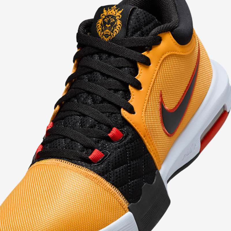 Nike Lebron Witness VIII