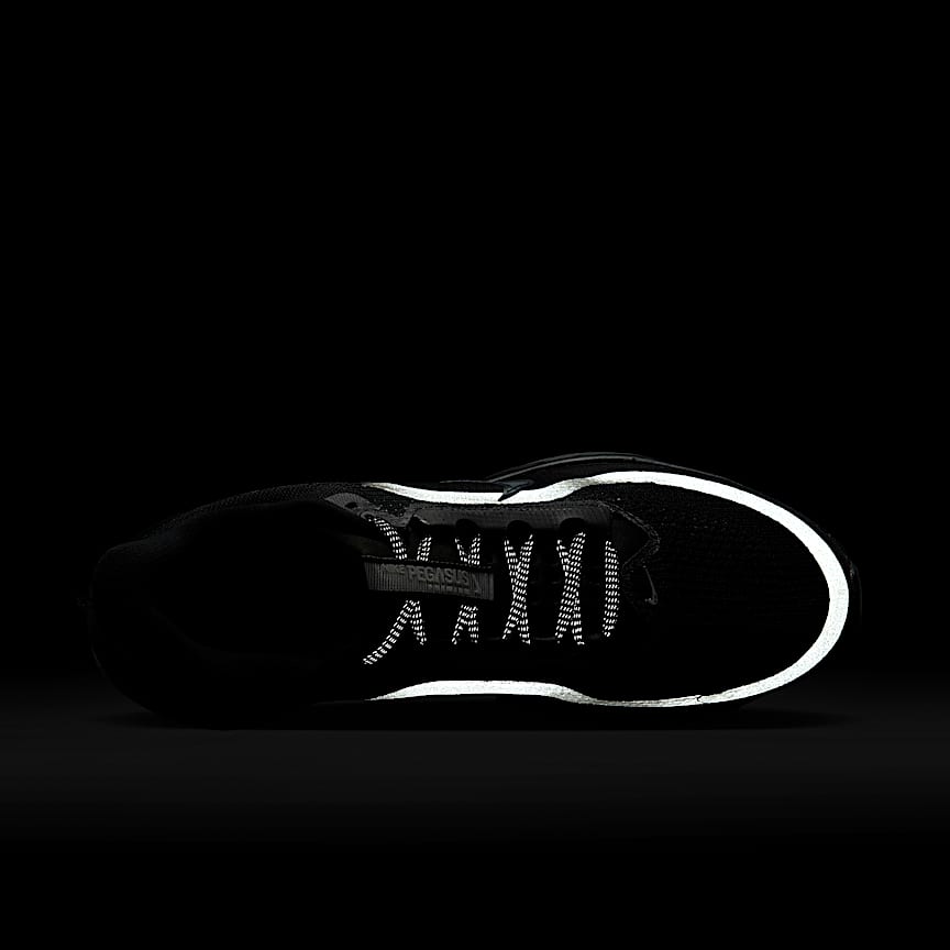 Nike Pegasus Premium Black/ Black-Mtlc Silver