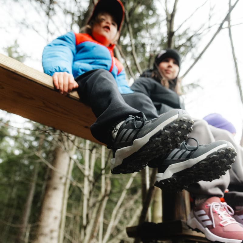 adidas Terrex Ax4r Hiking