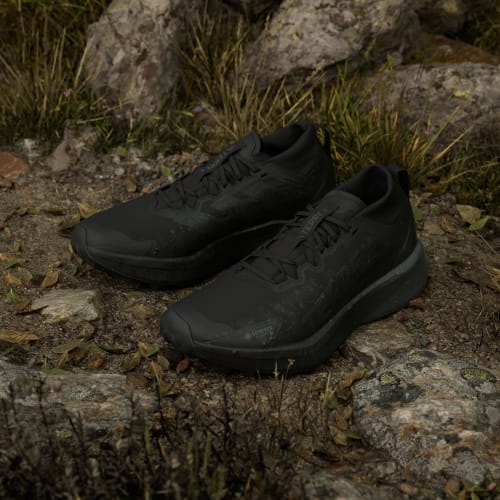 adidas Terrex Agravic GTX Trail Running