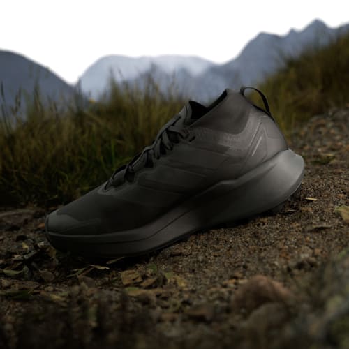 adidas Wmns Terrex Agravic GTX Trail Running