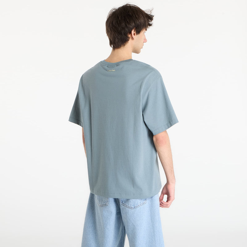 Calvin Klein Jeans 16S April Graphic Se Tee Gray