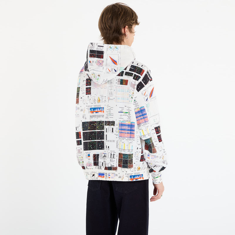 PLEASURES Textbook Hoodie Multi