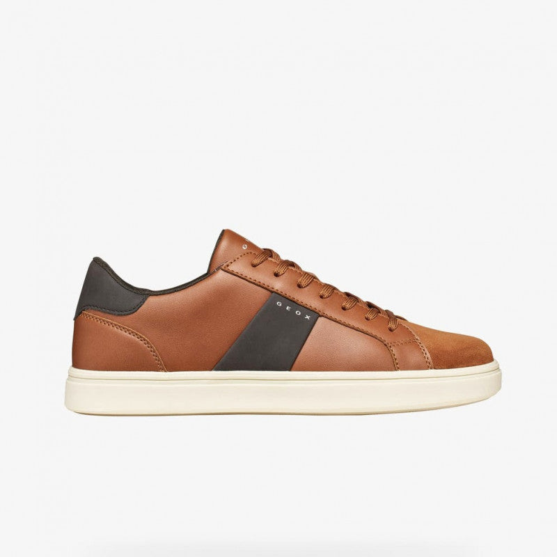 Geox Baltmoore Brown