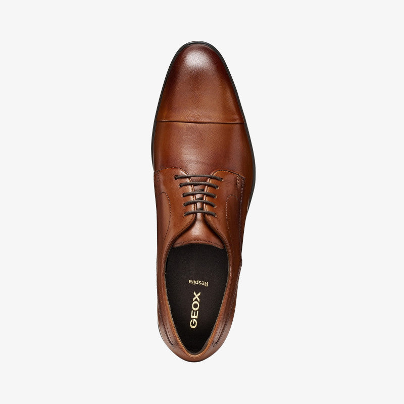 Geox Thalos Brown